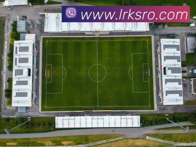 开云手机网页入口平台生态图