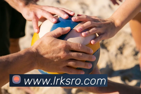 开云手机网页入口APP 封面图